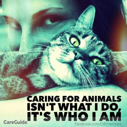 Pet Care Provider Pet Parent Paradise's Profile Picture