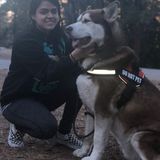 Providing personal care for your pets in the comfort of your own home