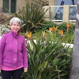 Experienced Housekeeper Available