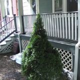 Pedro and sons painting company will give you a fresh coat in interior and exterior projects