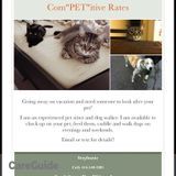 Professional and Dependable Pet Sitter
