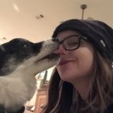 Experienced Pet Sitter in Destin, FL