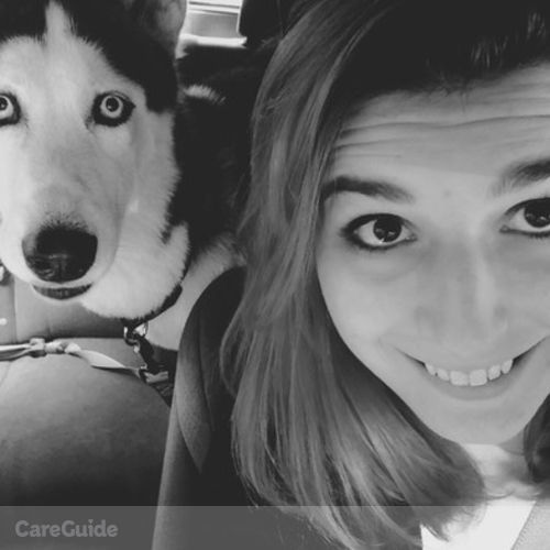 Pet Care Provider Ally N's Profile Picture