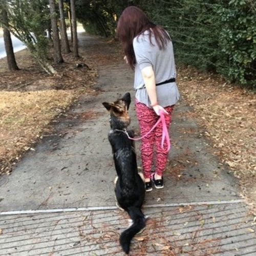 Pet Care Provider Britney L's Profile Picture