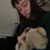 Experienced Pet Sitter Readily Available
