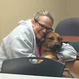 Licensed Veterinary Technician with over 20 years experience.