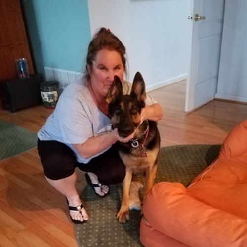 House Sitter Provider Jennifer T's Profile Picture