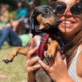 Available:Loving, honest, responsible Pet sitting/Care Provider in Saint Petersburg