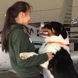 Willing dog walker for all sizes and breeds!