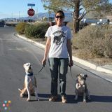 Dog Walker/Pet Sitter and Dog Trainer, Very Reasonable Rates