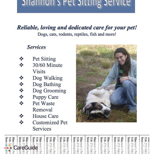 Reliable Pet Sitter in Taos, NM - Pet 