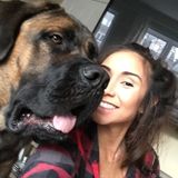 Trustworthy House Sitter Available!