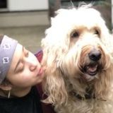 Passionate animal lover
