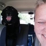 My name is Diana Wilson and I offer care for your well-loved cats, dogs, and/or fish!