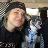 Dogs saved my life.