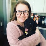 Animal Lover Seeking Work in Scotch Plains Area