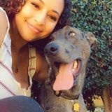 I am a very caring House and Pet Sitter in La Mesa, California