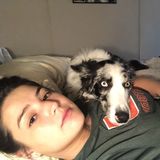 Available: Caring Pet Sitter/Walker in Odessa, Texas