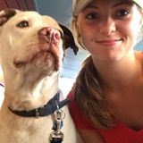 Animal Sitter Services Available