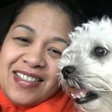 Dedicated Cleaner in Evansville