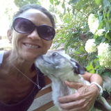 Alpharetta Pet Sitter Available For Being Hired