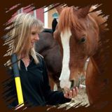 I have 3 horses, 3 cats and a dog!
