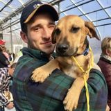 Disciplined House Sitter for Hire