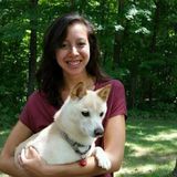 Experienced Pet Sitting Professional in Athens, Ohio
