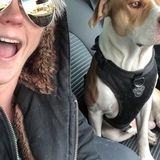 Careful Pet Sitting Professional Available Immediately