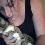 Professional Personal Assistant and Advanced Pet Care Services