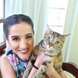 Cat Baby Sitter