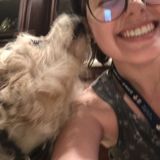 Searching for a Pet Sitting Professional Job in Arcadia and Surrounding Areas