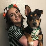 Pet Walker/Sitter