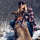 Trustworthy pet sitter at your service!