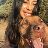 I am a Dedicated Animal Care Giver. I offering services of day pet sitting, overnight care and also medication administering.