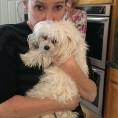 House Sitter Provider 's Profile Picture