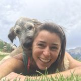Pet Sitter & Dog Walker