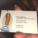 Skillful Cleaner for Hire and organizer.