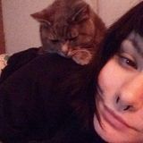 Tigard Cat Sitter Interviewing For Being Hired