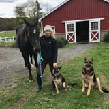 Looking for caring, trustworthy pet / house sitter in the Lansing Area!