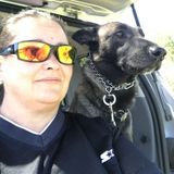 Exceptional caring for your pet in your home or ours