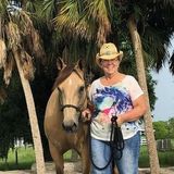 Capable equine sitter Professional for your barn.