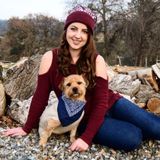 Dog lover and owner looking to share the love