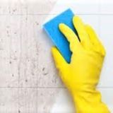 Two college clean freaks looking to help you clean!