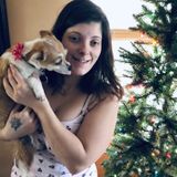 Pet sitting
