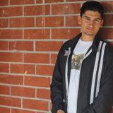 Animal lover able to offer sitting, walking, feeding and overnight assistance