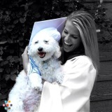 I Love Dogs!
