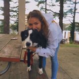 Pet care