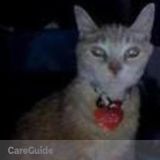 Cat sitter - available for overnights