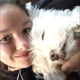 Destinys Pasionate Pet Services
